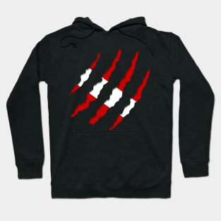 Dive Flag Ripped Dive Flag Scratches Torn Scuba Dive Diving Design Hoodie